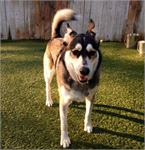 daycare pic 52 - Athena
